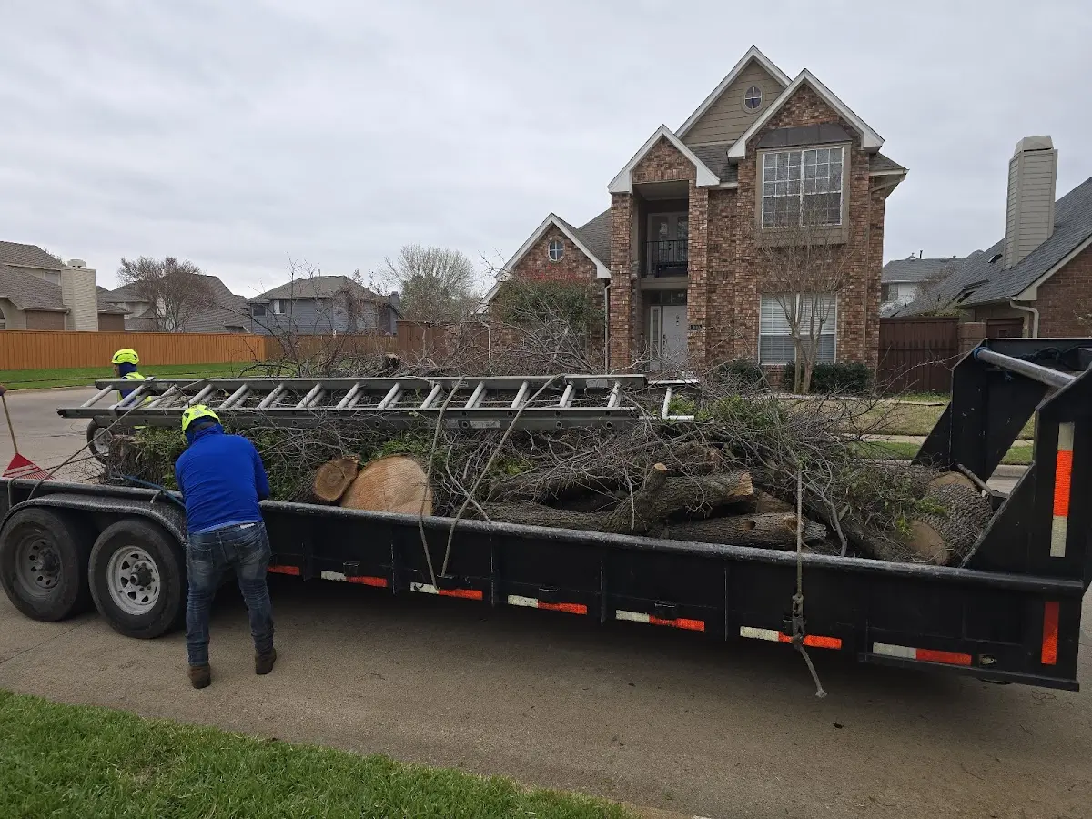Expert Tree Removal with proper safety equipment in Titusville